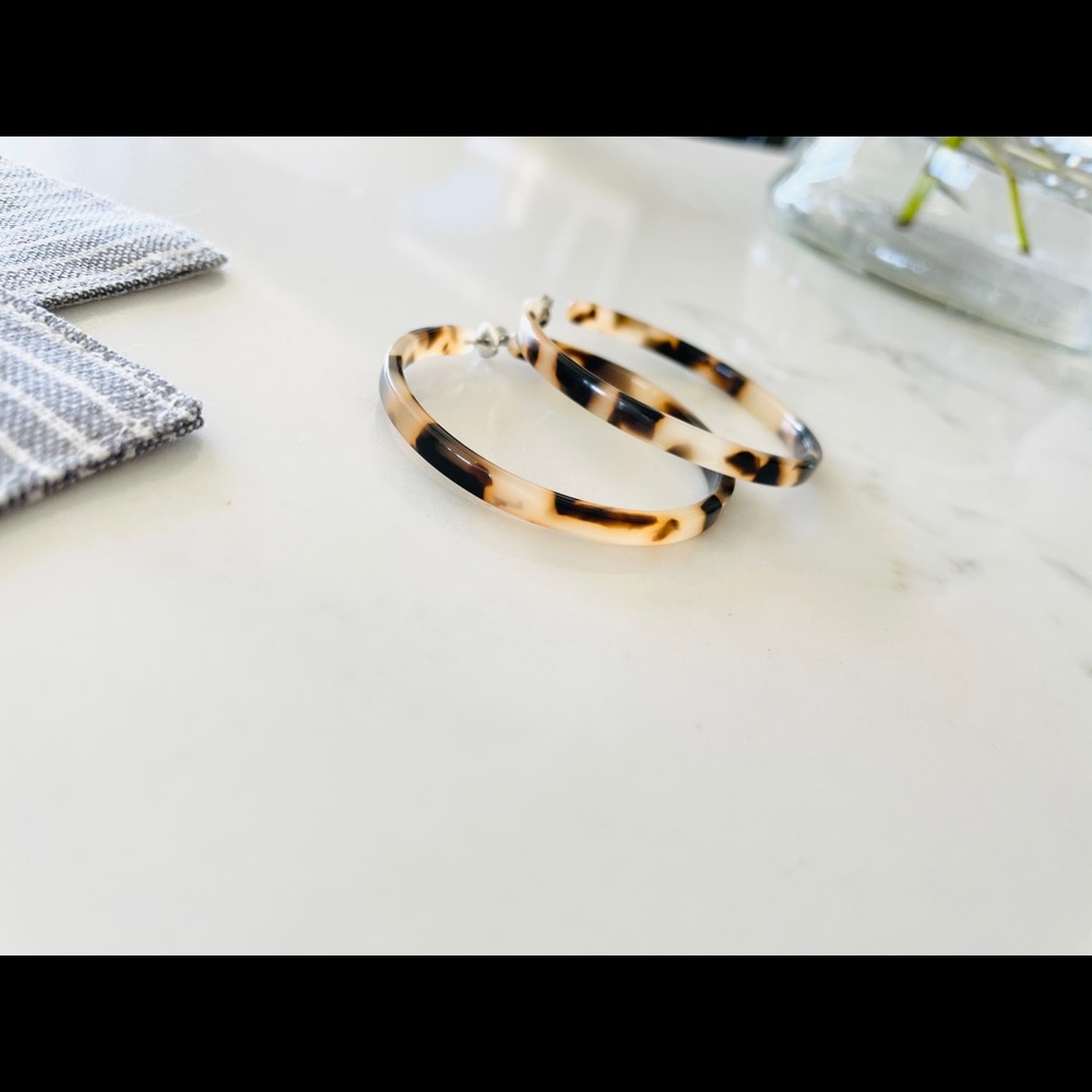 Tortoise Hoops - image 6
